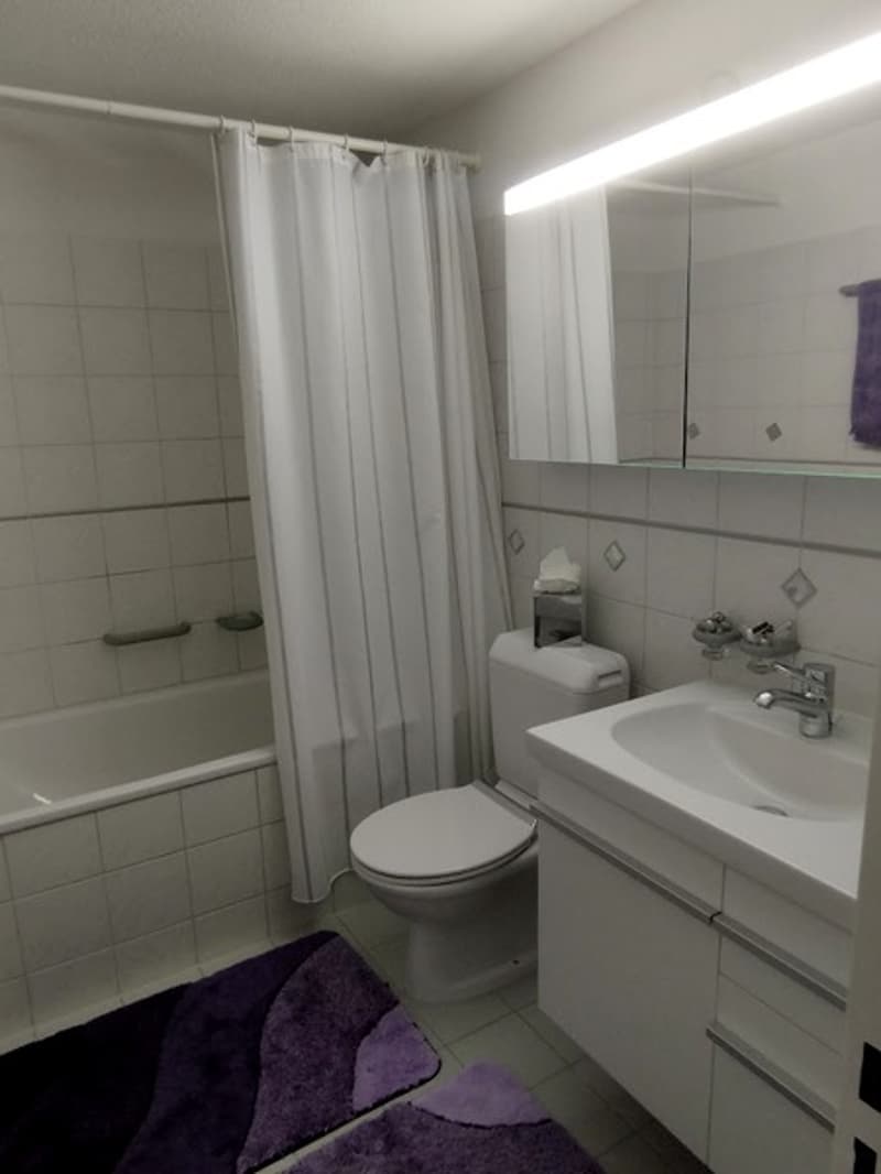 2½ ROOM ATTIC APARTMENT IN AU (ZH), FURNISHED, TEMPORARY (9)