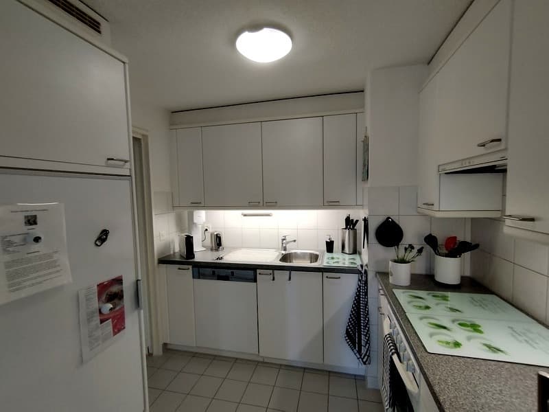 2½ ROOM ATTIC APARTMENT IN AU (ZH), FURNISHED, TEMPORARY (3)