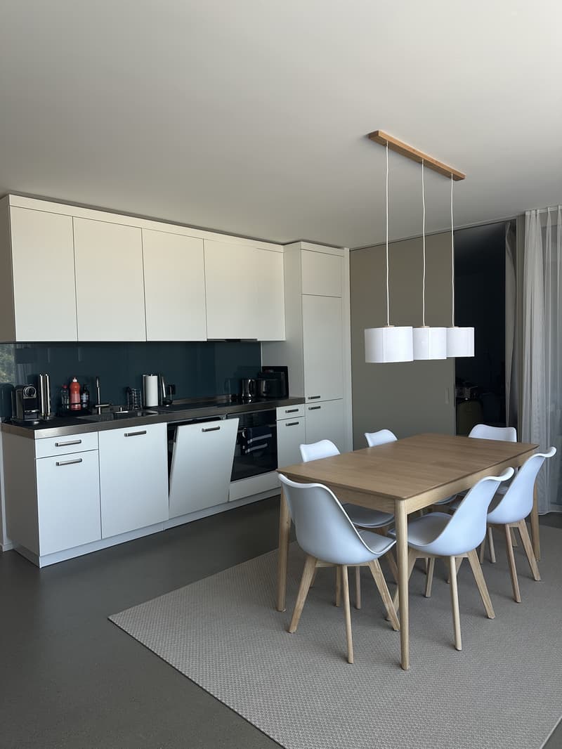 2½ ZI-WOHNUNG IN BASEL - GUNDELDINGEN, MÖBLIERT, TEMPORÄR (1)
