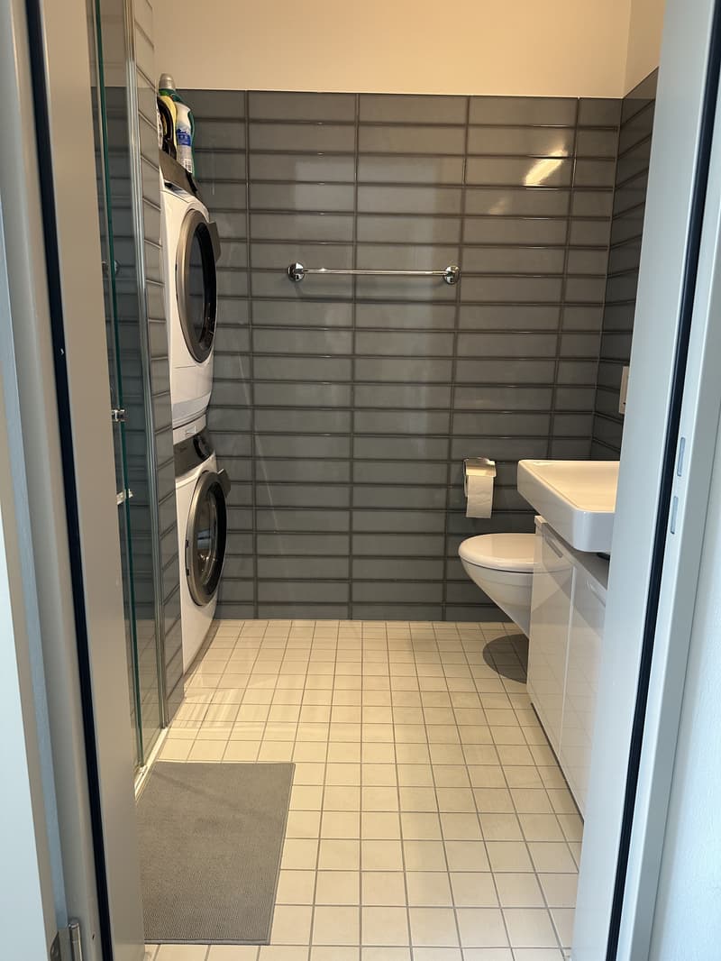 2½ ZI-WOHNUNG IN BASEL - GUNDELDINGEN, MÖBLIERT, TEMPORÄR (6)