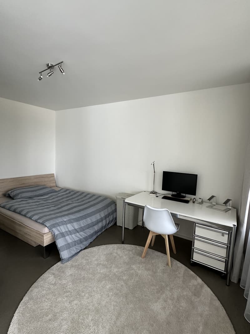 2½ ZI-WOHNUNG IN BASEL - GUNDELDINGEN, MÖBLIERT, TEMPORÄR (5)