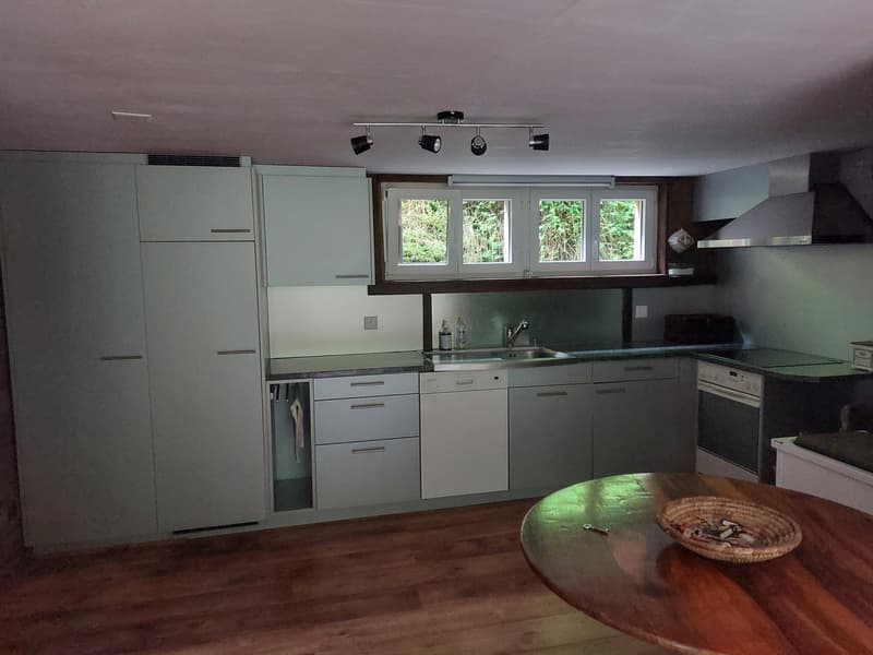 3 ZI-WOHNUNG IN HASLIBERG HOHFLUH (BE), MÖBLIERT, TEMPORÄR (4)