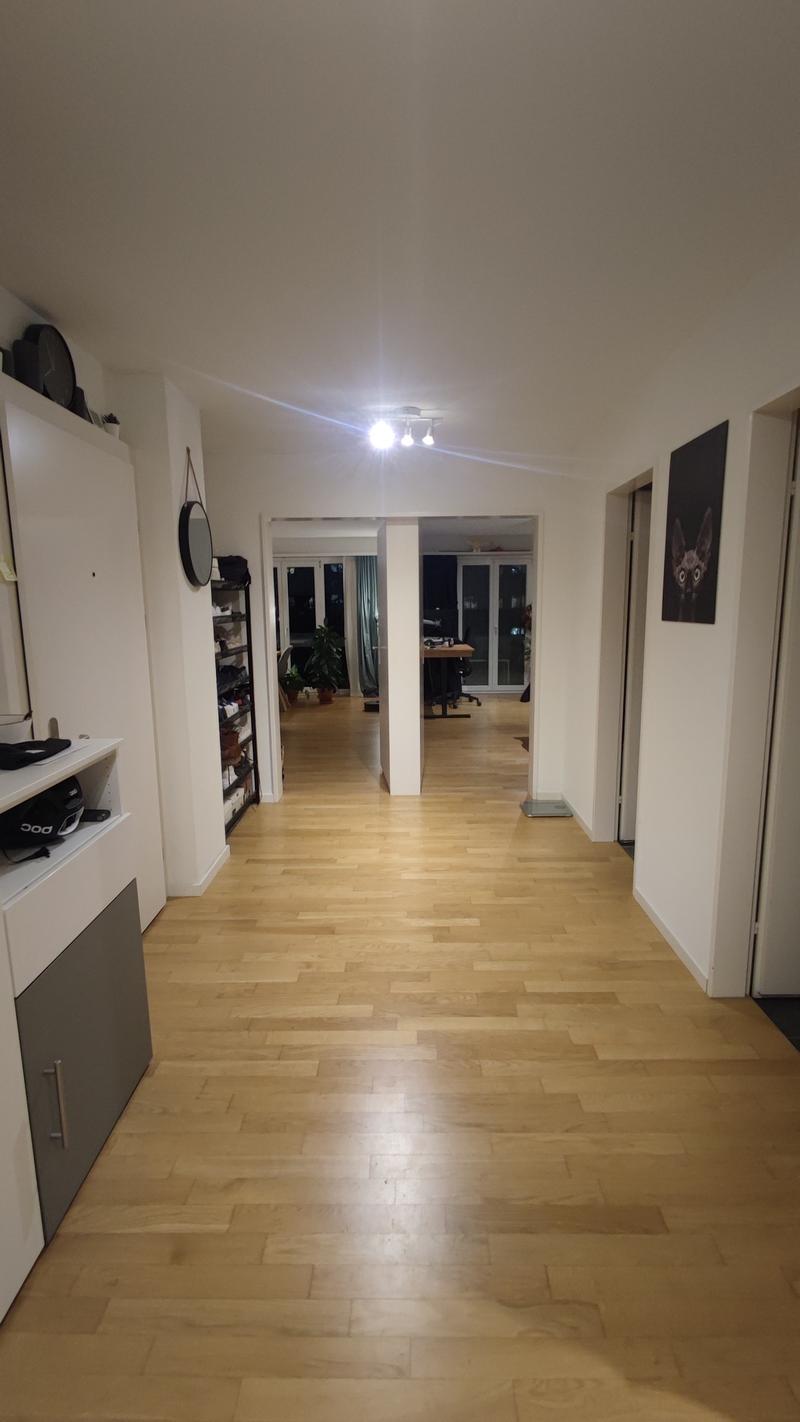 2½ ZI-WOHNUNG IN DÜBENDORF (ZH), MÖBLIERT, TEMPORÄR (9)