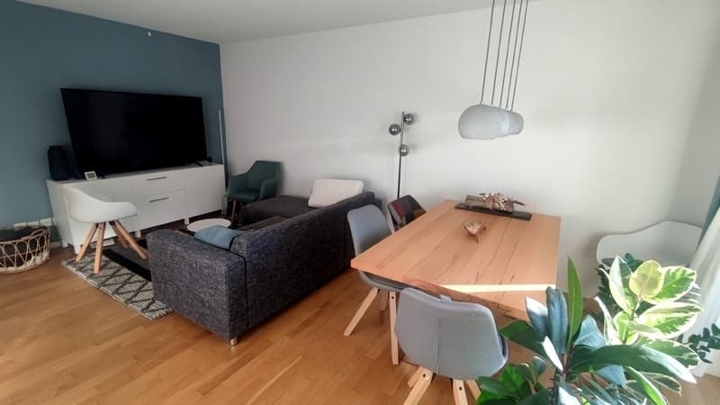2½ ZI-WOHNUNG IN DÜBENDORF (ZH), MÖBLIERT, TEMPORÄR (2)