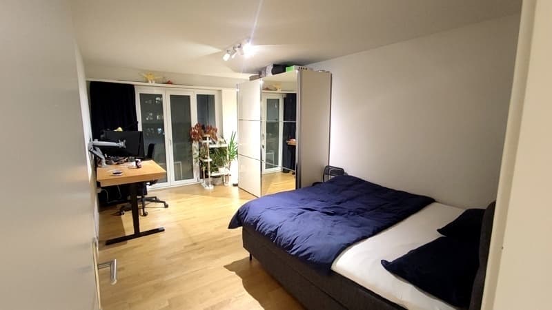 2½ ZI-WOHNUNG IN DÜBENDORF (ZH), MÖBLIERT, TEMPORÄR (3)