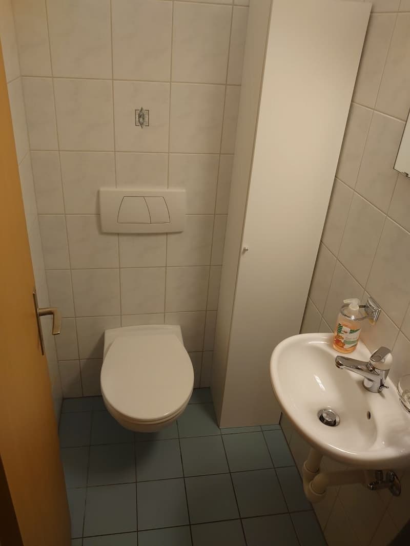 4½ ZI-WOHNUNG IN VELTHEIM (AG), MÖBLIERT, TEMPORÄR (10)