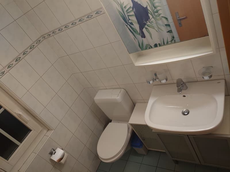 4½ ZI-WOHNUNG IN VELTHEIM (AG), MÖBLIERT, TEMPORÄR (8)