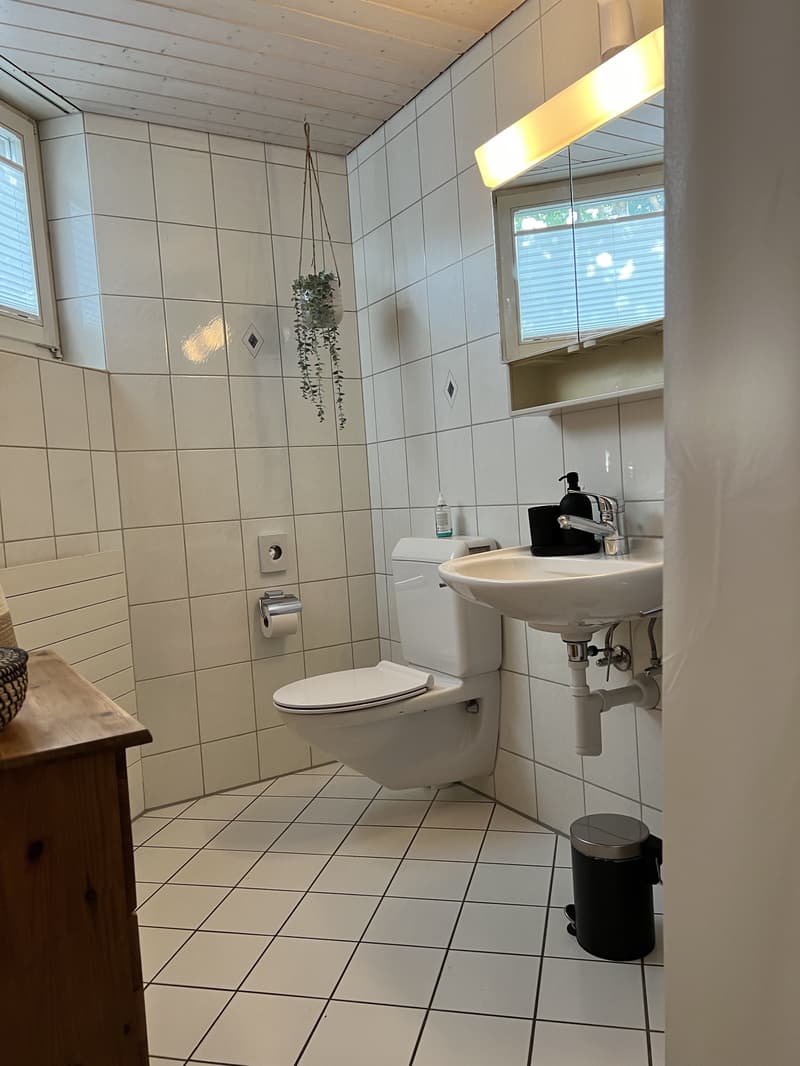 STUDIO IN THUN (BE), MÖBLIERT, TEMPORÄR (5)
