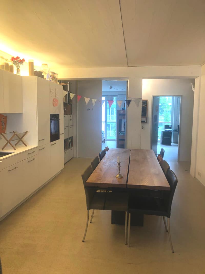 5½ ZI-WOHNUNG IN WINTERTHUR - STADT, MÖBLIERT, TEMPORÄR (2)