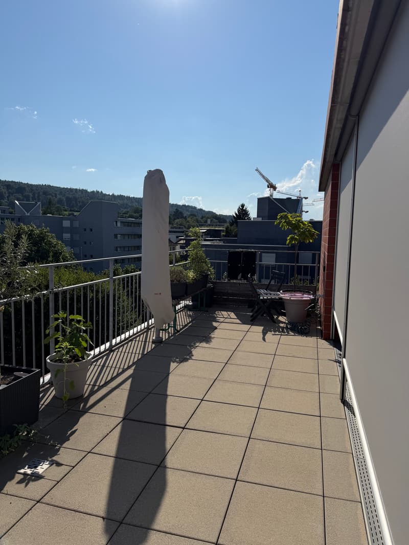 3½ ZI-WOHNUNG IN ZÜRICH - KREIS 12 HIRZENBACH, MÖBLIERT, TEMPORÄR (8)