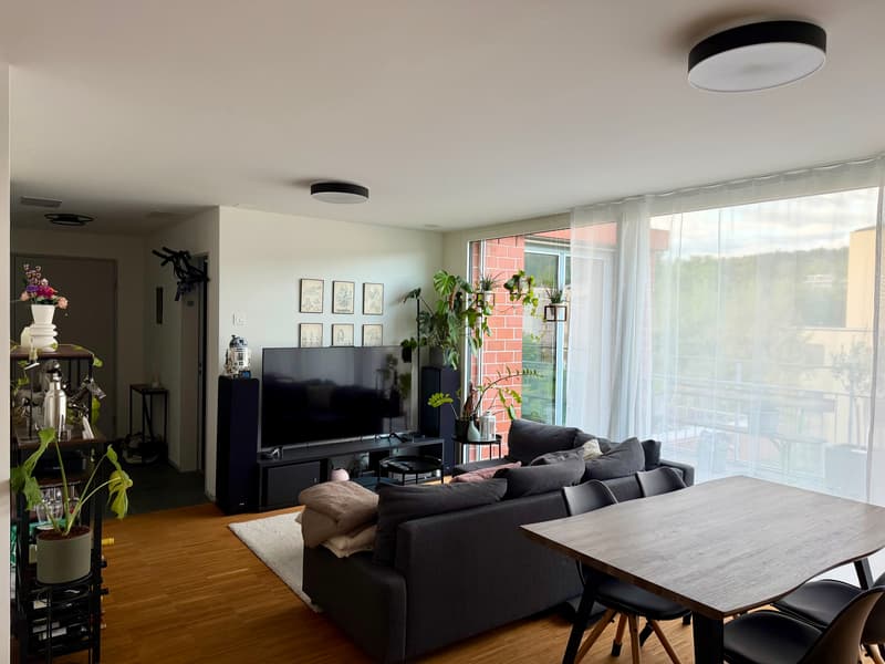 3½ ZI-WOHNUNG IN ZÜRICH - KREIS 12 HIRZENBACH, MÖBLIERT, TEMPORÄR (1)