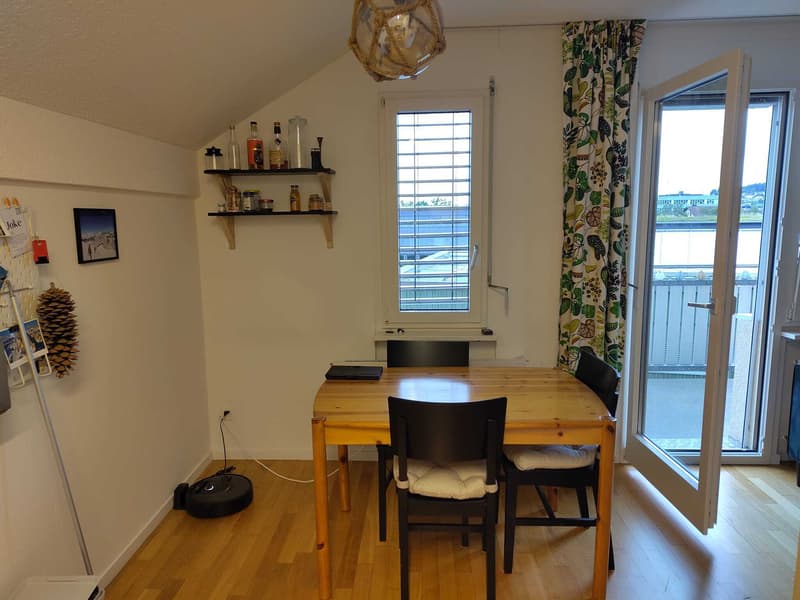 3 ZI-WOHNUNG IN BAAR (ZG), MÖBLIERT, TEMPORÄR (2)
