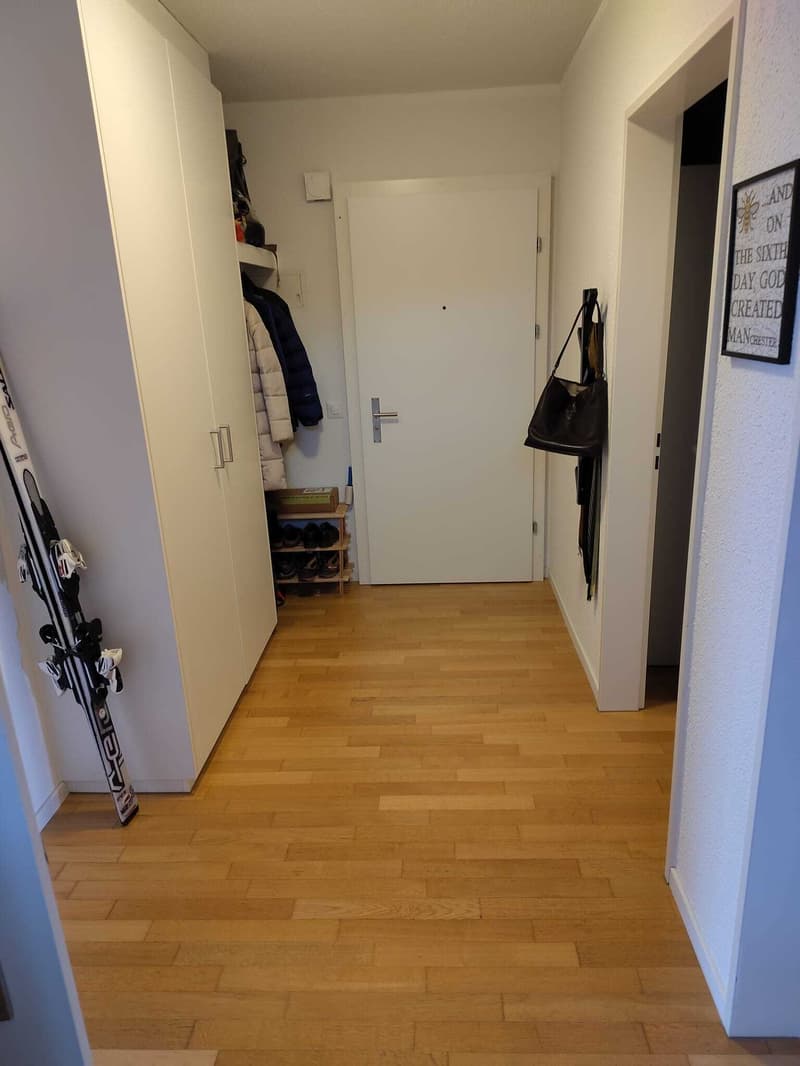 3 ZI-WOHNUNG IN BAAR (ZG), MÖBLIERT, TEMPORÄR (3)