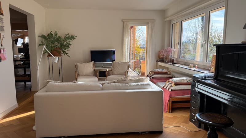 4 ZI-WOHNUNG IN ZÜRICH - KREIS 10, MÖBLIERT, TEMPORÄR (1)