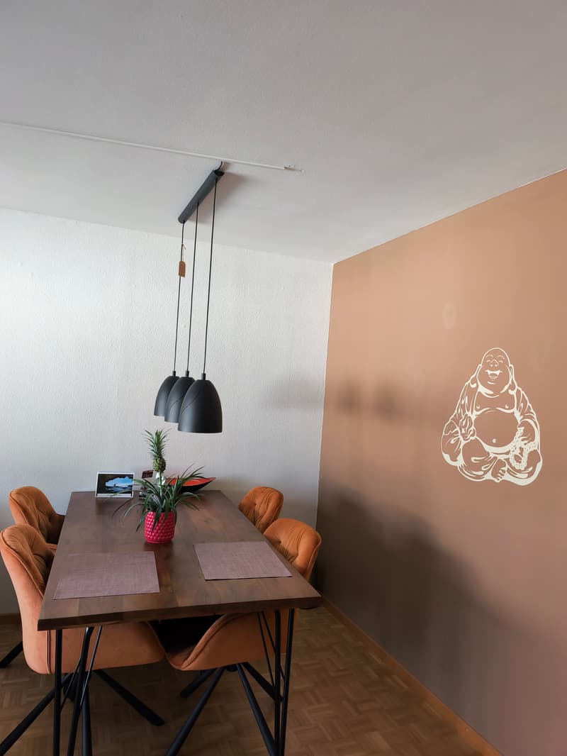 2 ZI-WOHNUNG IN JONA (SG), MÖBLIERT, TEMPORÄR (2)