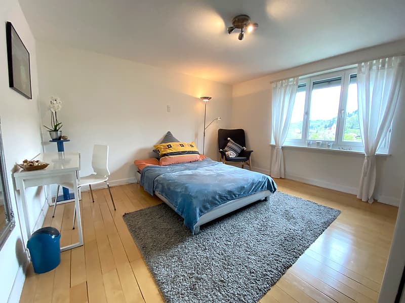 5 ZIMMER-HAUS IN WINTERTHUR - TÖSS, MÖBLIERT, TEMPORÄR (4)