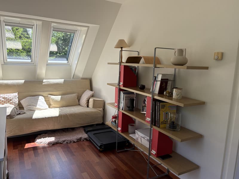 3½ ZIMMER-MAISONETTEWOHNUNG IN ZÜRICH - KREIS 10 WIPKINGEN, MÖBLIERT, (3)