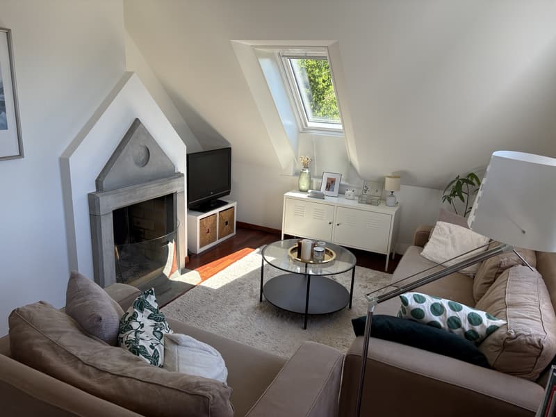 3½ ZIMMER-MAISONETTEWOHNUNG IN ZÜRICH - KREIS 10 WIPKINGEN, MÖBLIERT, (2)