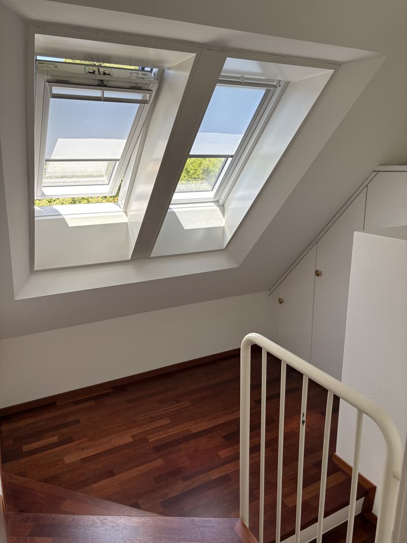 3½ ZIMMER-MAISONETTEWOHNUNG IN ZÜRICH - KREIS 10 WIPKINGEN, MÖBLIERT, (10)