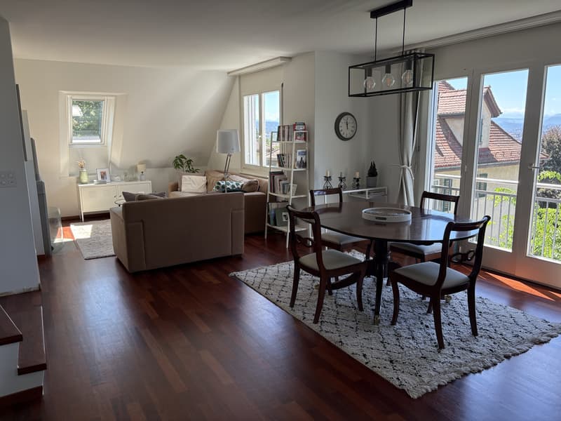 3½ ZIMMER-MAISONETTEWOHNUNG IN ZÜRICH - KREIS 10 WIPKINGEN, MÖBLIERT, (4)