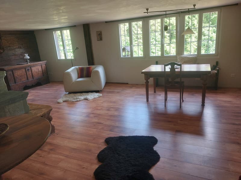 2½ ZI-WOHNUNG IN HASLIBERG HOHFLUH (BE), MÖBLIERT, TEMPORÄR (3)