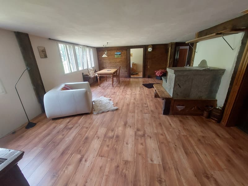 2½ ZI-WOHNUNG IN HASLIBERG HOHFLUH (BE), MÖBLIERT, TEMPORÄR (2)
