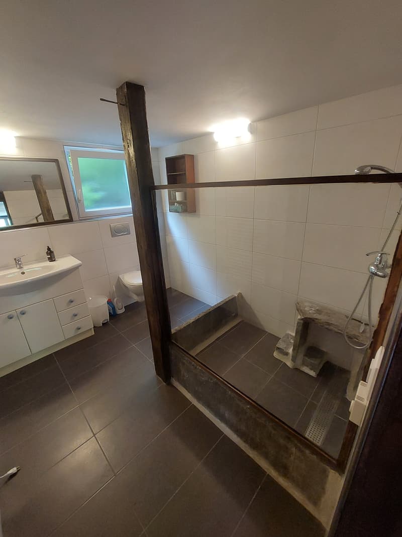 2½ ZI-WOHNUNG IN HASLIBERG HOHFLUH (BE), MÖBLIERT, TEMPORÄR (6)