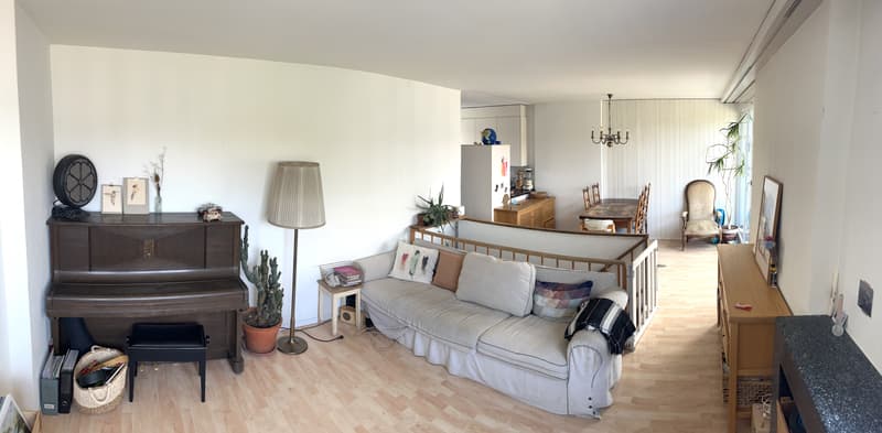 4½ ZI-WOHNUNG IN BERN - BÜMPLIZ, MÖBLIERT, TEMPORÄR (1)