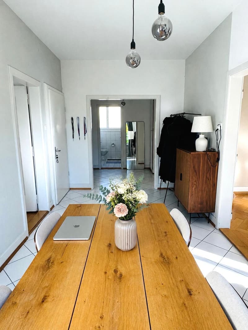 3½ ROOM APARTMENT IN BERN - ELFENAU/BRUNNADERN, FURNISHED, TEMPORARY (6)