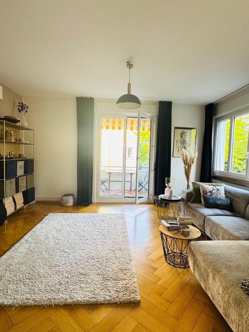 3½ ROOM APARTMENT IN BERN - ELFENAU/BRUNNADERN, FURNISHED, TEMPORARY (1)