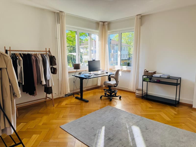 3½ ROOM APARTMENT IN BERN - ELFENAU/BRUNNADERN, FURNISHED, TEMPORARY (5)