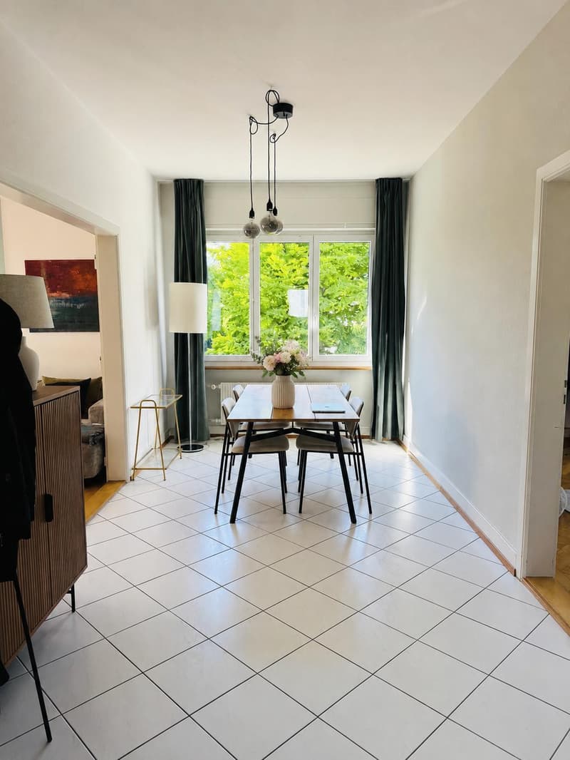 3½ ROOM APARTMENT IN BERN - ELFENAU/BRUNNADERN, FURNISHED, TEMPORARY (3)