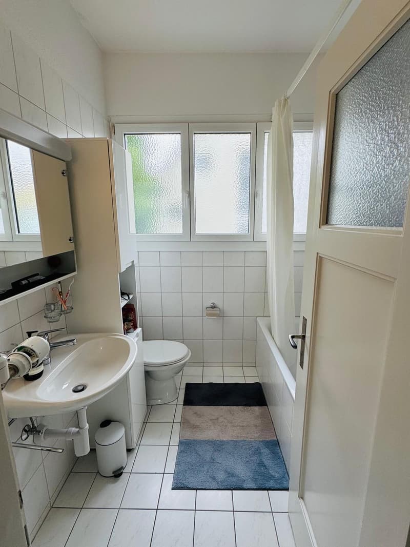 3½ ROOM APARTMENT IN BERN - ELFENAU/BRUNNADERN, FURNISHED, TEMPORARY (7)