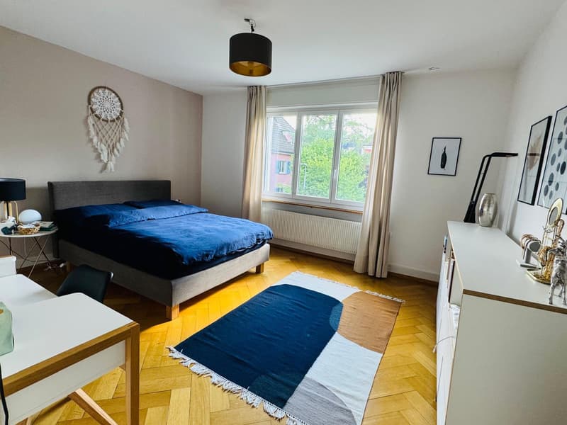 3½ ROOM APARTMENT IN BERN - ELFENAU/BRUNNADERN, FURNISHED, TEMPORARY (9)