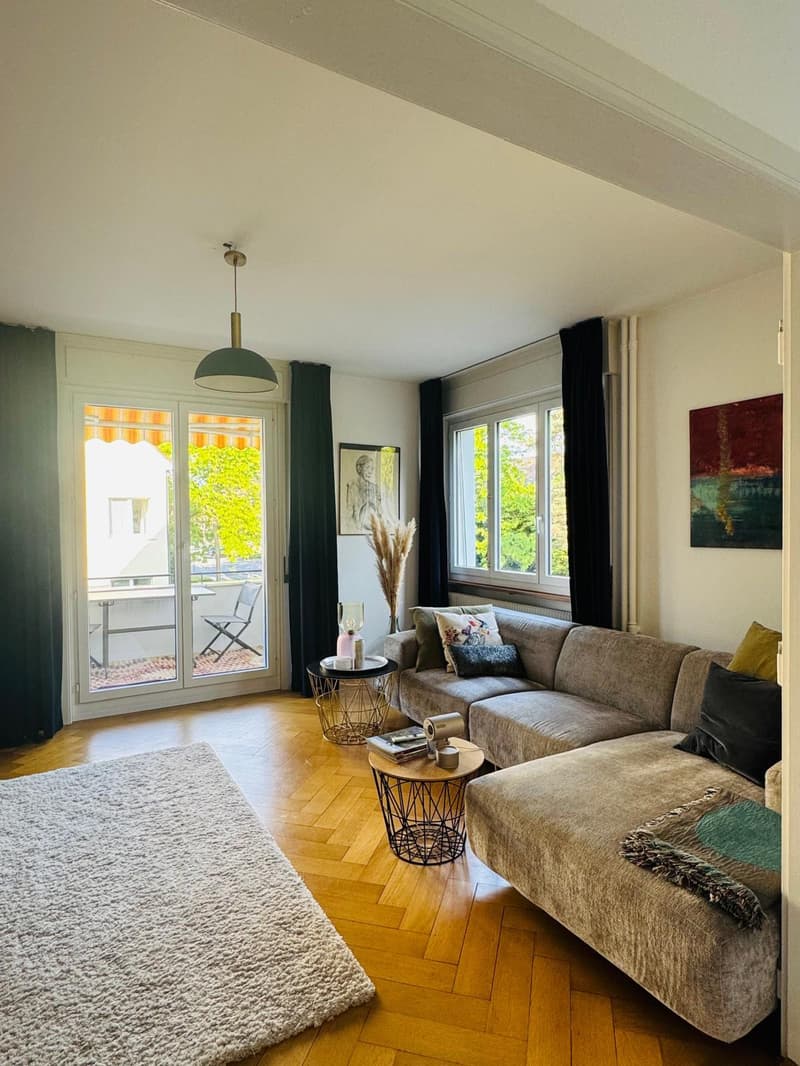3½ ROOM APARTMENT IN BERN - ELFENAU/BRUNNADERN, FURNISHED, TEMPORARY (2)