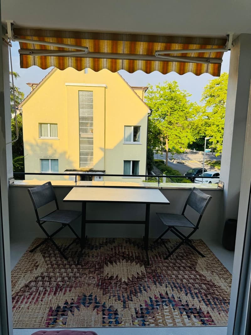 3½ ROOM APARTMENT IN BERN - ELFENAU/BRUNNADERN, FURNISHED, TEMPORARY (8)