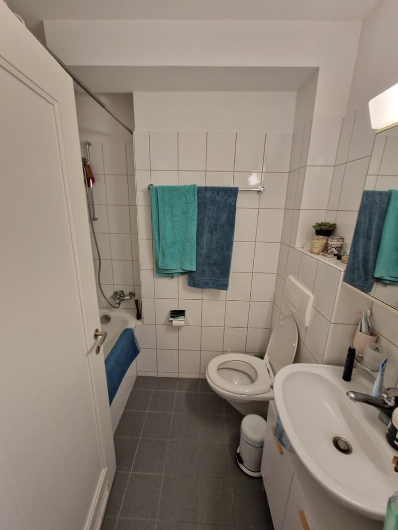 2 ZI-WOHNUNG IN BERN - BREITENRAIN, MÖBLIERT, TEMPORÄR (4)