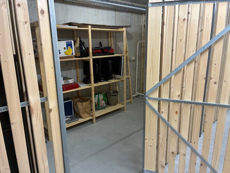 3½ ZI-WOHNUNG IN LUZERN, MÖBLIERT, TEMPORÄR (10)