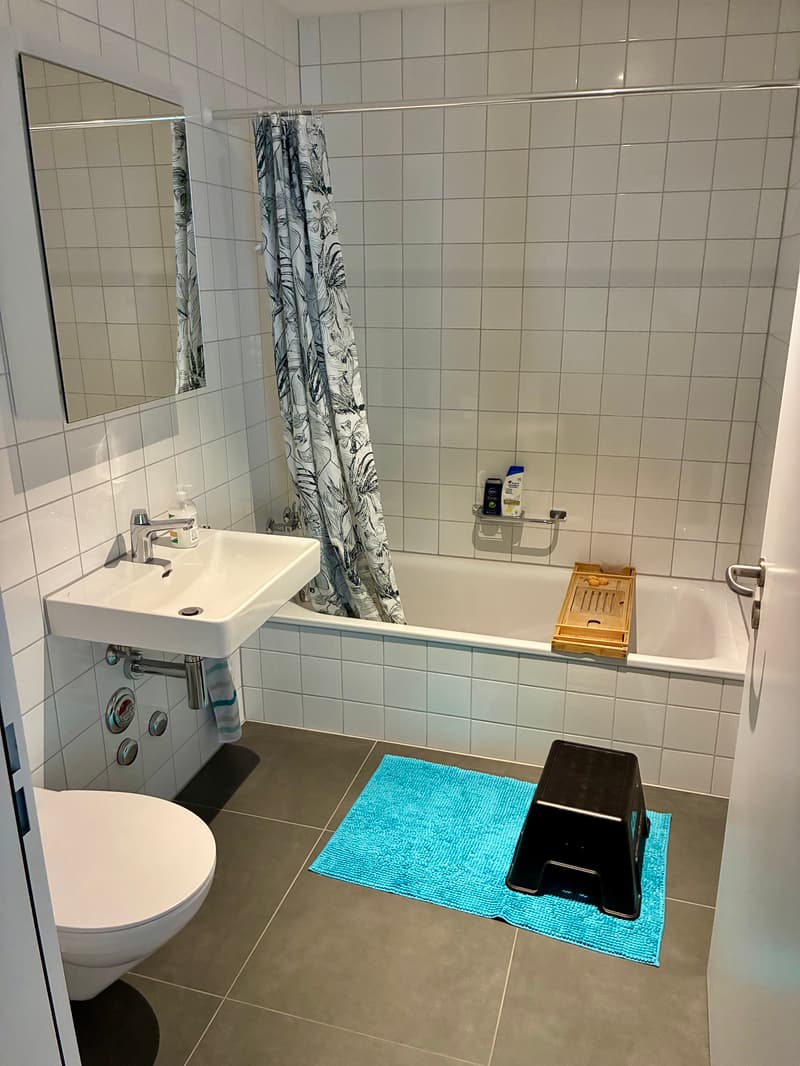 3½ ZI-WOHNUNG IN LUZERN, MÖBLIERT, TEMPORÄR (8)