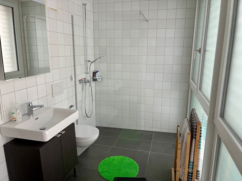3½ ZI-WOHNUNG IN LUZERN, MÖBLIERT, TEMPORÄR (6)