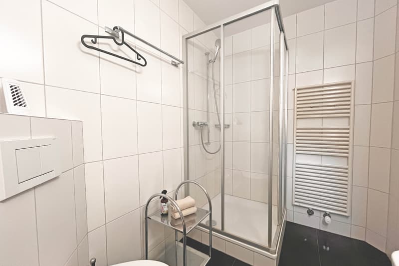 5½ ZI-WOHNUNG IN LUZERN, MÖBLIERT, TEMPORÄR (10)