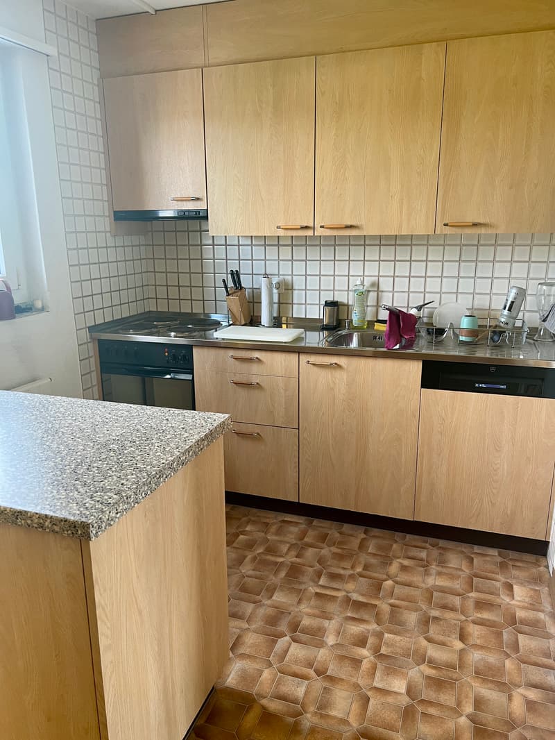 4 ZI-WOHNUNG IN EBIKON (LU), MÖBLIERT, TEMPORÄR (2)