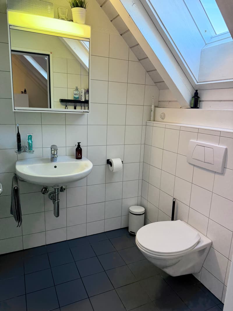 2½ ZIMMER-MAISONETTEWOHNUNG IN WATT (ZH), MÖBLIERT, TEMPORÄR (9)