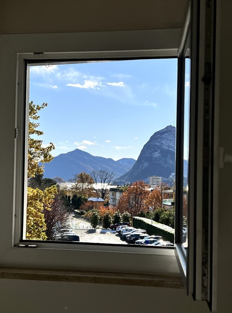 3½ PIÈCES APPARTMENT À PREGASSONA (TI), MEUBLÉ (10)