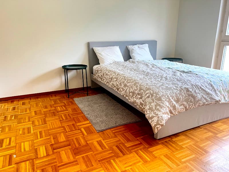 3½ PIÈCES APPARTMENT À PREGASSONA (TI), MEUBLÉ (8)
