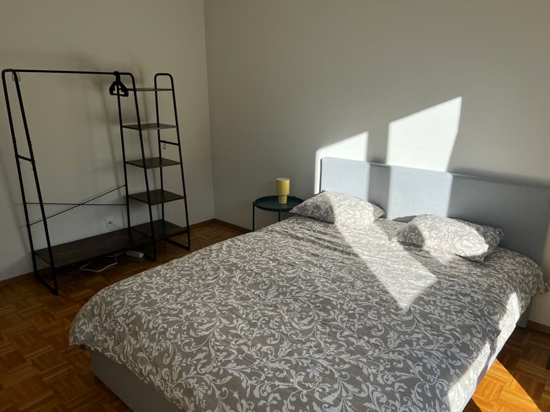 3½ PIÈCES APPARTMENT À PREGASSONA (TI), MEUBLÉ (5)