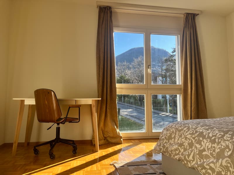 3½ PIÈCES APPARTMENT À PREGASSONA (TI), MEUBLÉ (6)