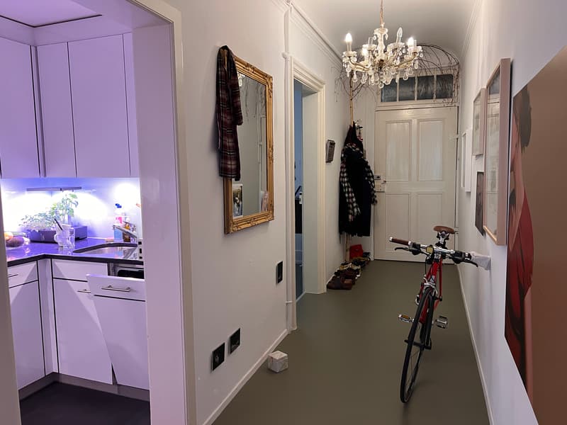 2 ZI-WOHNUNG IN BERN - ALTSTADT, MÖBLIERT, TEMPORÄR (5)