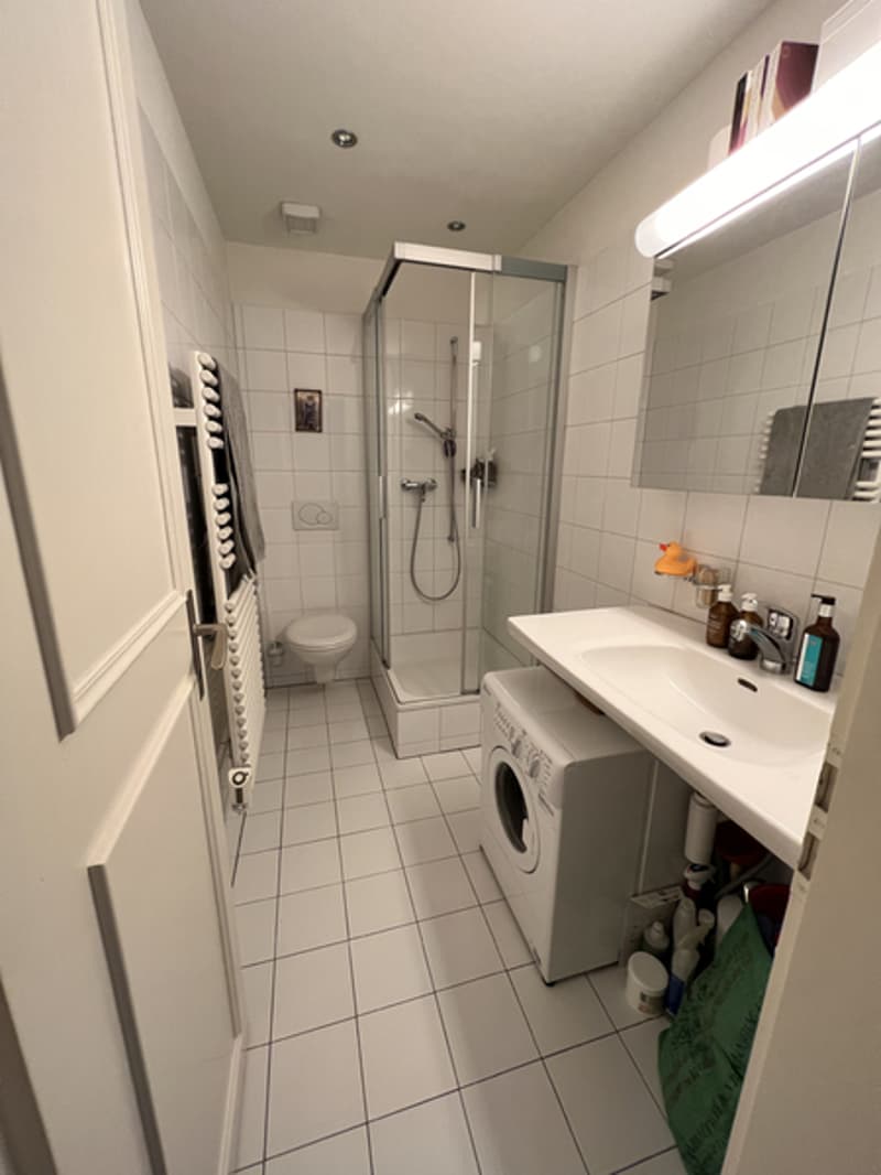 2 ZI-WOHNUNG IN BERN - ALTSTADT, MÖBLIERT, TEMPORÄR (8)