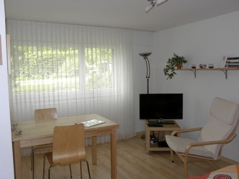 STUDIO IN BOLLIGEN (BE), MÖBLIERT (4)